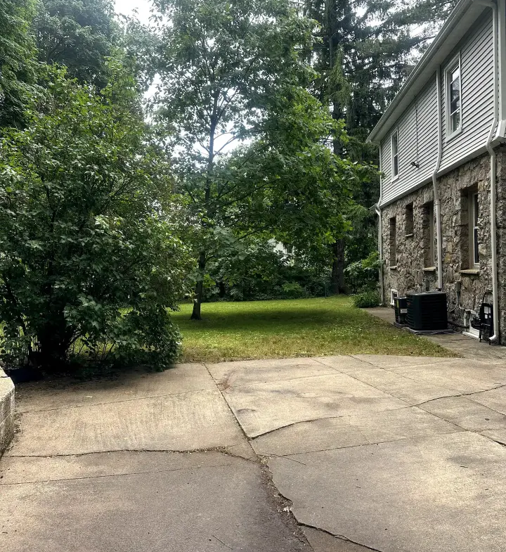 A large driveway with trees and bushes in the background.