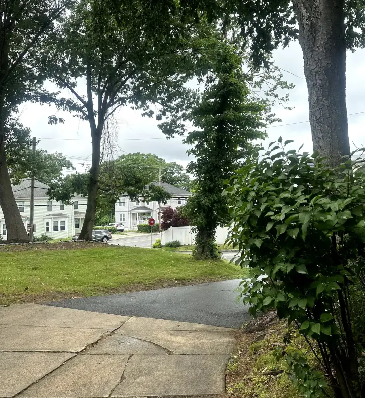 A view of trees and houses from the sidewalk.