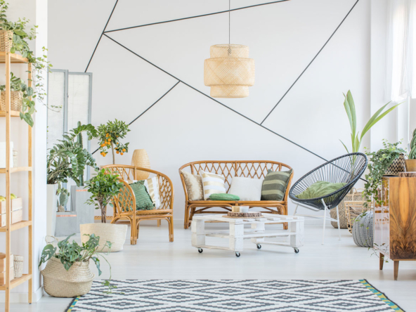 A room with furniture and plants in it