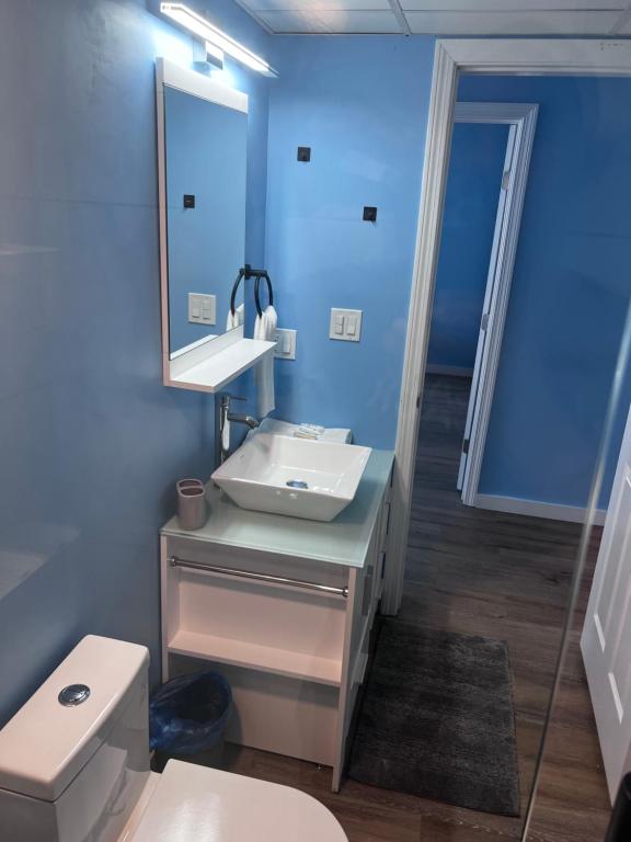 A bathroom with blue walls and wooden floors.