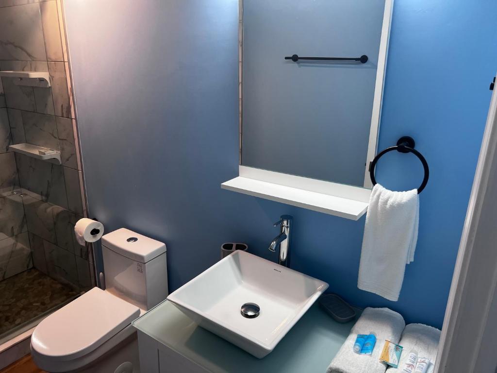 A bathroom with blue walls and white fixtures.