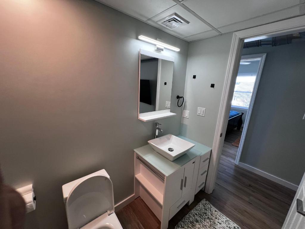 A bathroom with a toilet, sink and mirror.